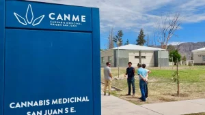 Quieren bajar el precio del cannabis medicinal en San Juan