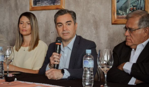 “Puede terminar siendo el delito perfecto”, dijo Arancibia