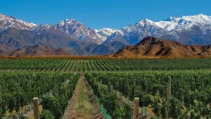 San Juan, entre las provincias con mayor cantidad de tierras en manos extranjeras