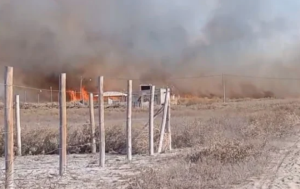 El Zonda convirtió un pequeño fuego en una jornada de incendios