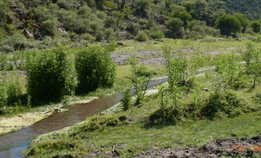 Vivieron décadas sin luz y ahora todo cambió en Sierras de Chávez