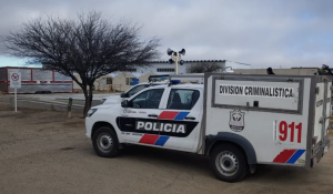 Aclaran que el vuelco en Valle Fértil no fue por un animal suelto