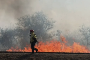 Una jornada récord de incendios dejó más de 30 casas afectadas