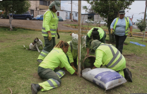 Más verde para San Juan: repartirán 8.000 árboles en la provincia